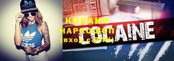 стаф Ачинск