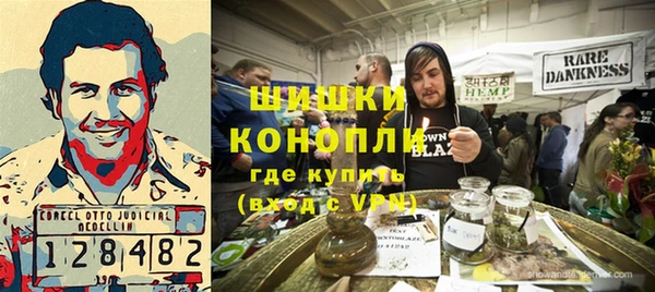 PSILOCYBIN Лабытнанги