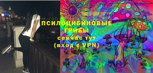 мескалин Ладушкин