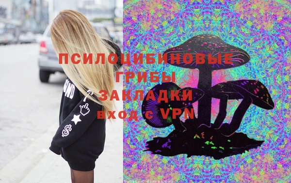 мескалин Ладушкин