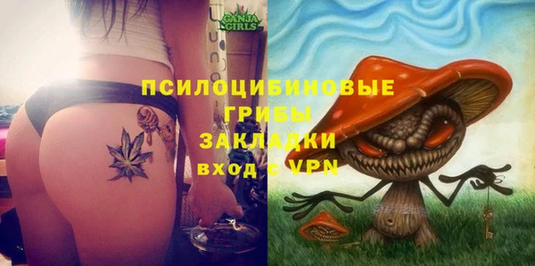 мескалин Ладушкин