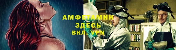 PSILOCYBIN Лабытнанги