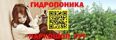 винт Кингисепп