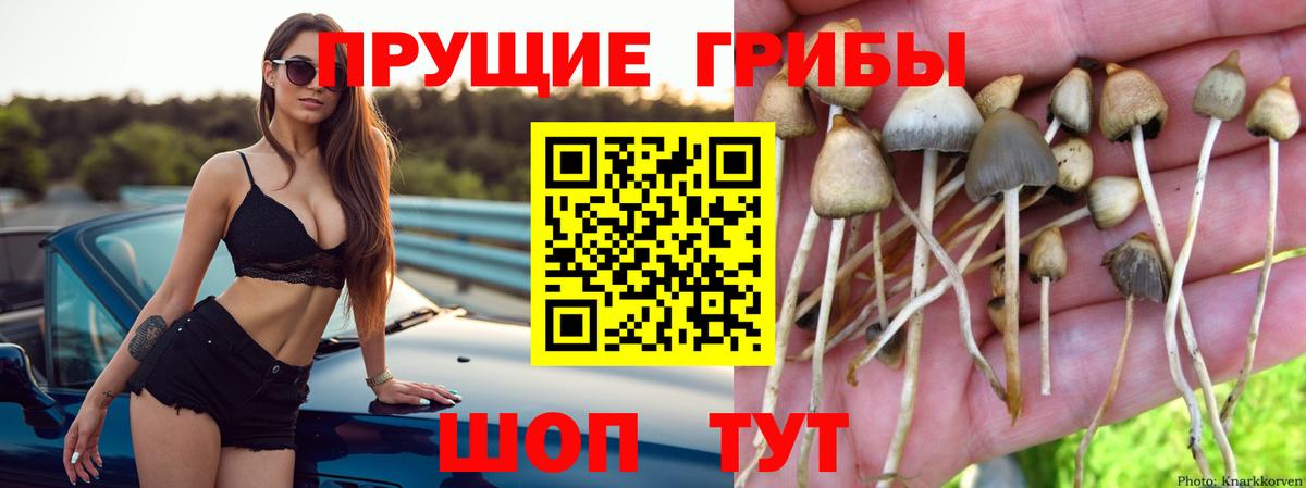 что такое наркотик  Галлюциногенные грибы Psilocybe  Галлюциногенные грибы MAGIC MUSHROOMS  Вход с VPN  Псков 